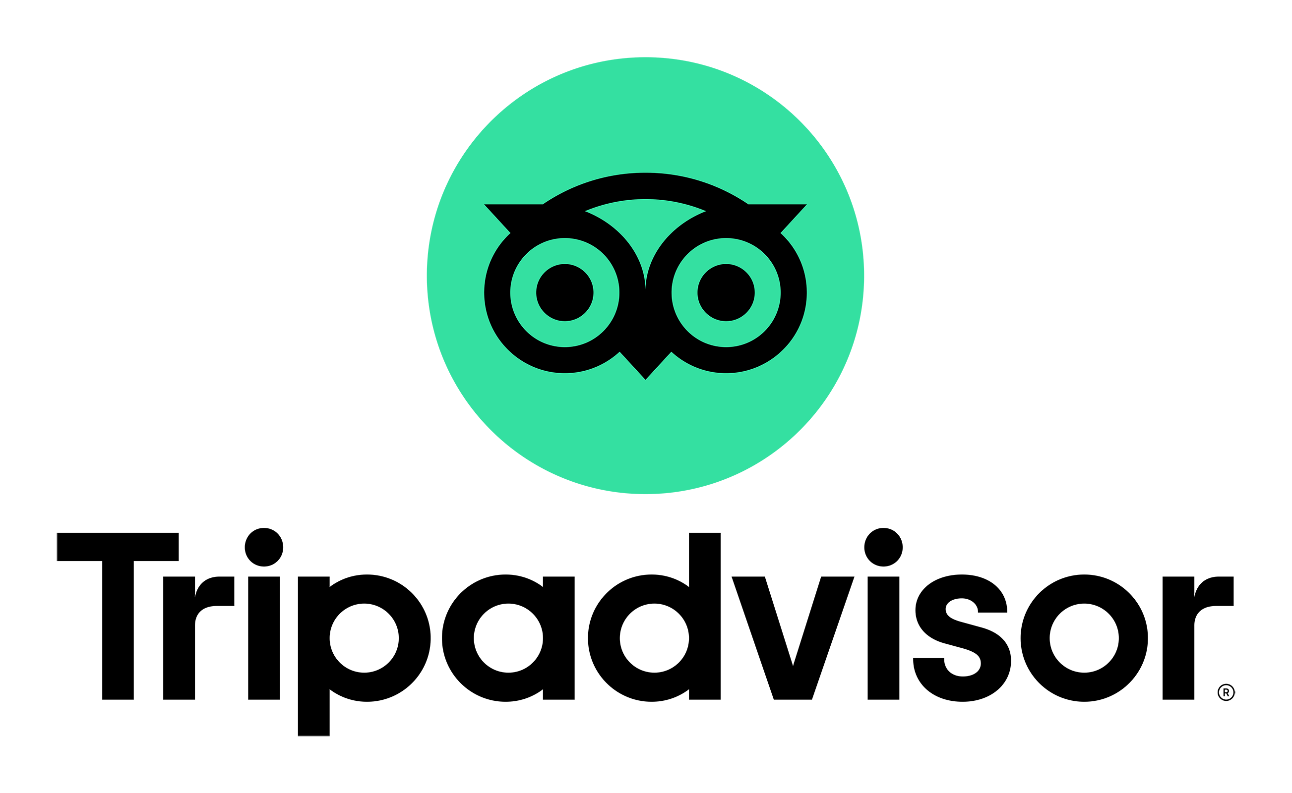 Трипадвизор лого. TRIPADVISOR logo. TRIPADVISOR приложение. Значок трипадвайзор. Трип эдвайзер